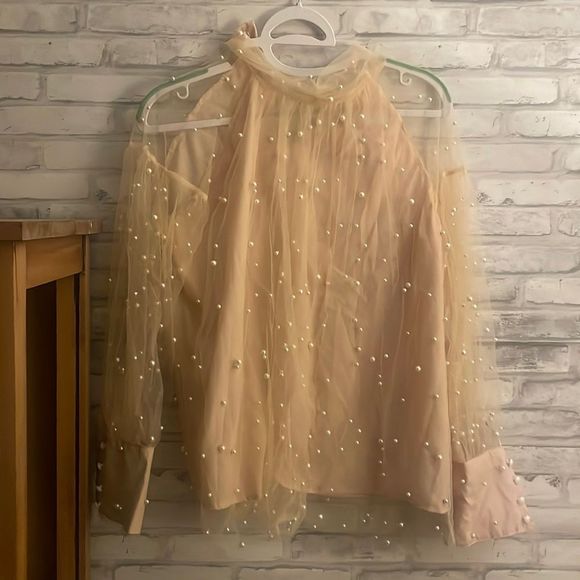 Pearled Pink Sheer Longsleeve Over Blouse - Picture 3 of 7